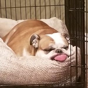 Meet your Posher, Stacey